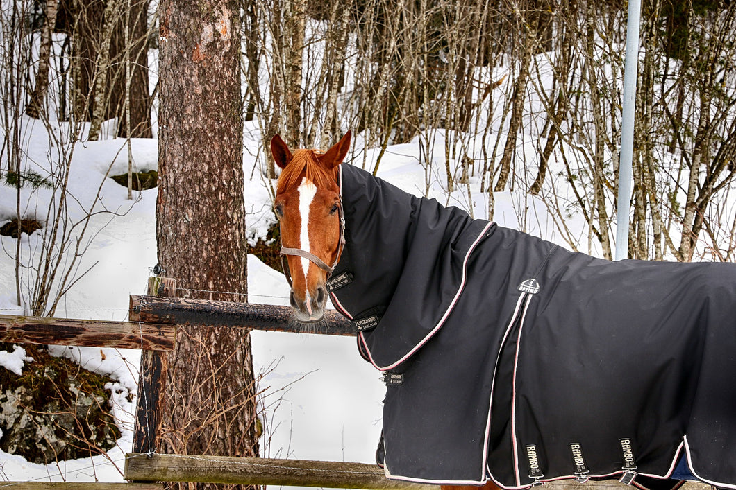 Winter Blanket Wash