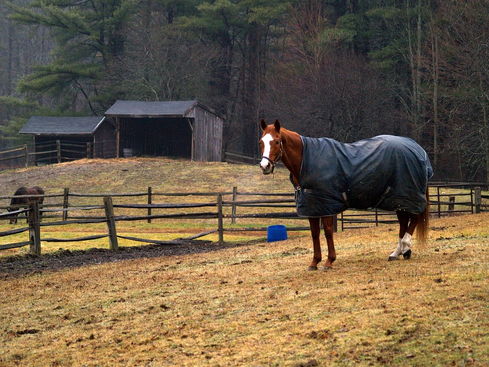 Rain Sheet Blanket Wash