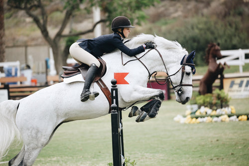 English Saddle Pad Wash